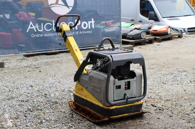 Compacteur Neuson 1D81S