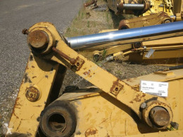 Caterpillar