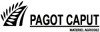 PAGOT CAPUT